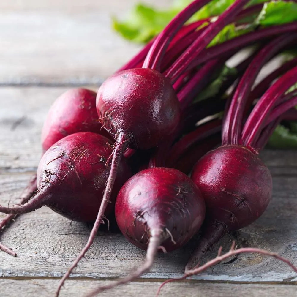 Beetroot Microgreen Seeds