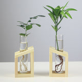 Festoon Test Tube Flower Pot Home Office Table Vase Decor-Special