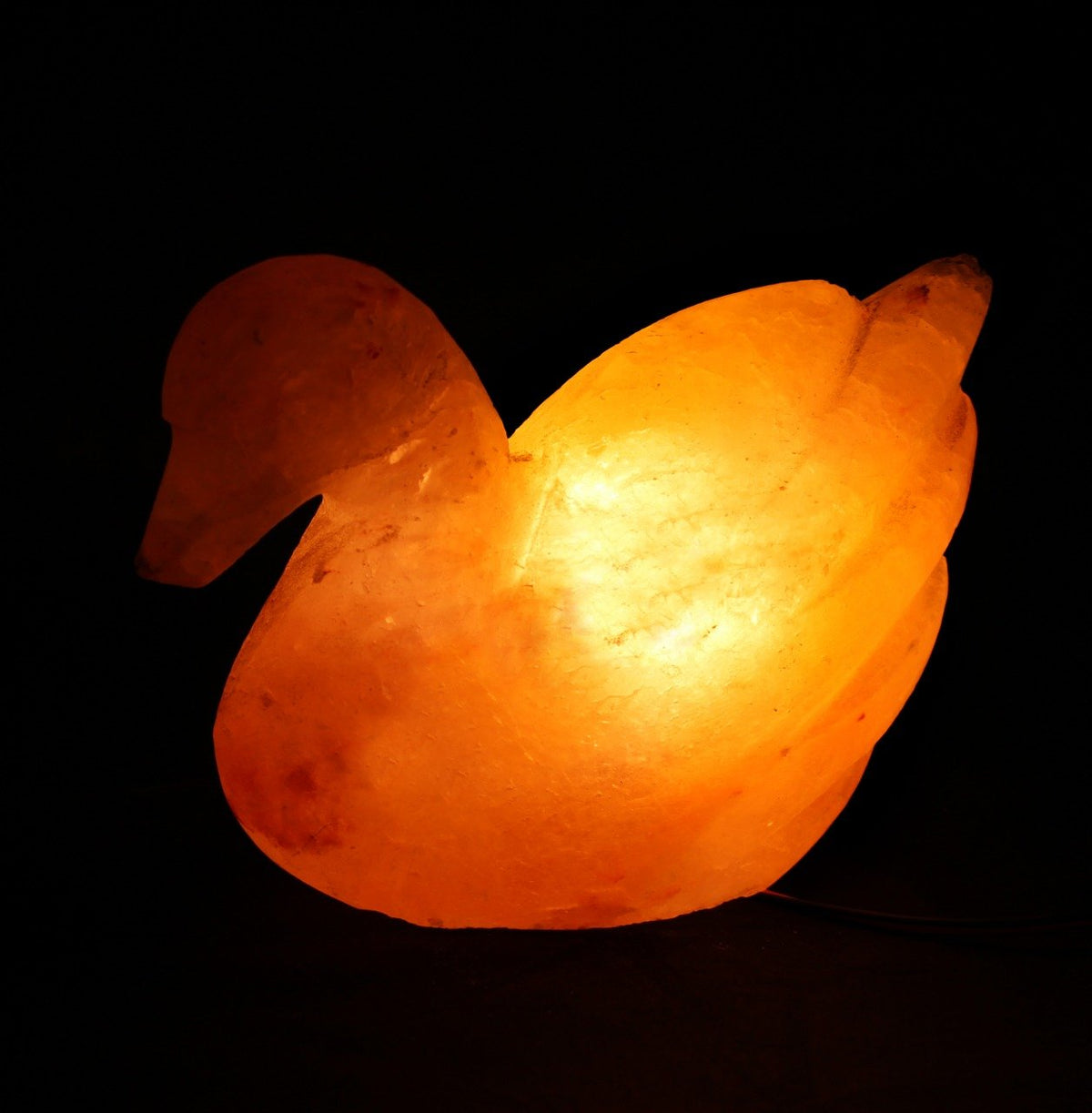 Duck - Table Lamp - waseeh.com